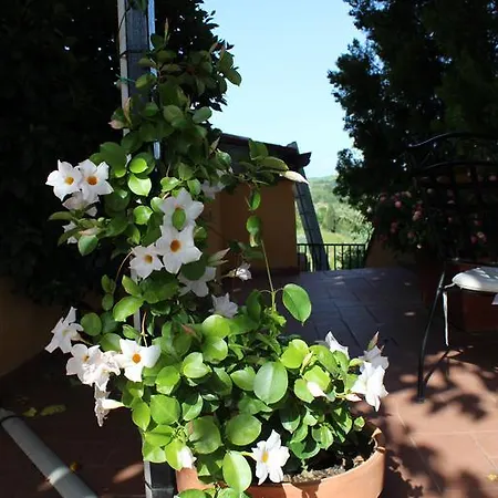 La Pieve Hotel Castelfiorentino