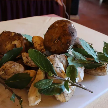 Ξενοδοχείο La Pieve Castelfiorentino